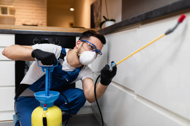 Best Wildlife Control Services  in Ada, OH