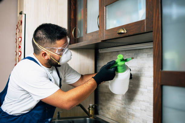 Best Pest Removal Services  in Ada, OH