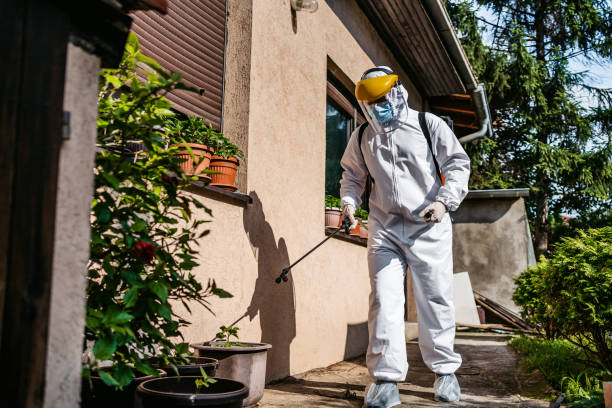 Trusted Ada, OH Pest Control Experts