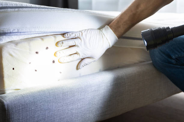 Best Cockroach Control Services  in Ada, OH