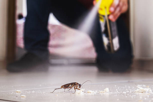 Best Wildlife Control Services  in Ada, OH